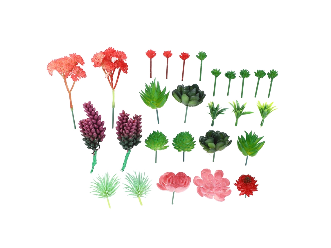 Conjunto 27 Suculentas LAXISCREED Pvc Decor