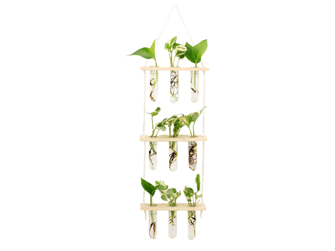Laxiscreed Vaso De Parede Em Vidro Para Hidroponia Com Design Em Madeira Natural