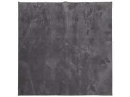 Rug, Rugs Vidaxl Antracite Poliéster (160 X 160 Cm)