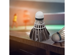 12pcs bolas de Badminton Pluma de Pato Business