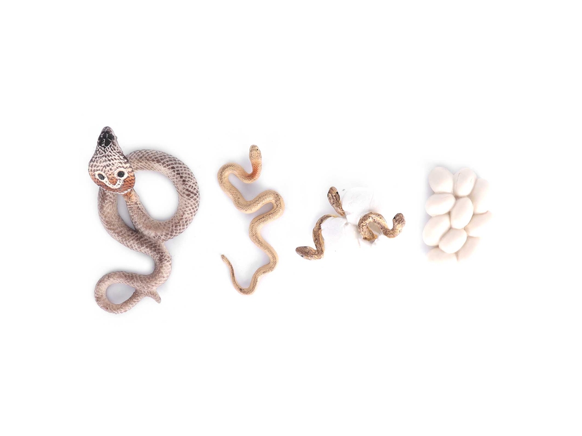 Mali brinquedo Ciclo de Crescimento de Cobra Pvc Modelo Educativo Animal Miniatura para Crianças