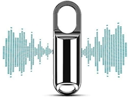 Lurelia Gravador De Voz Com Porta-chaves 8gb Com Usb Recarregável, Ativação Por Voz, Redução De Ruído Para Reuniões, Palestras, Entrevistas - Prata