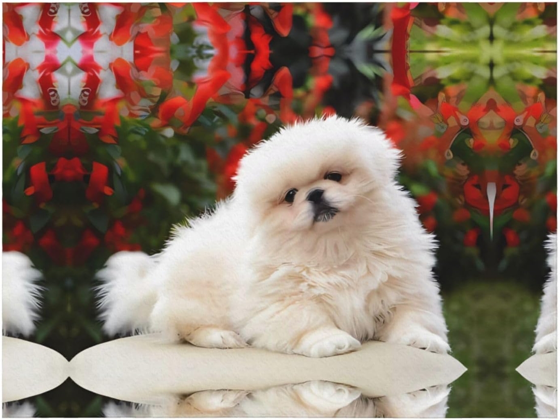 Colcha de Flanela Pelo Curto com Estampa Cachorro da Raça Pomerânia Macia e Quentinha para Sofá Quarto 101 6