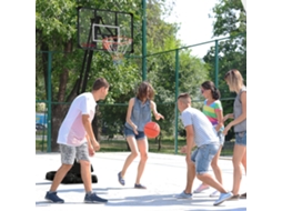 Cesta de Basquete Ajustável, 236-293 Cm, Rodas, Painel de PC, Base Recarregável, Preto