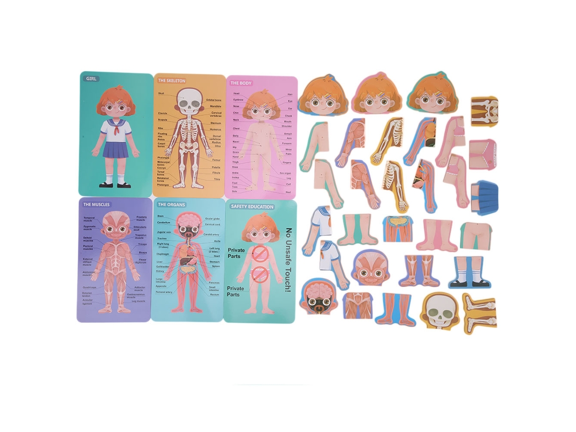 Ats puzzle de Estructura Corporal Humana En Madera para Niños Juguete Educatsivo de Aprendizaje de Órganos Corporales
