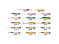 Rapala Bx Minnow 100 Mm 12 Gr