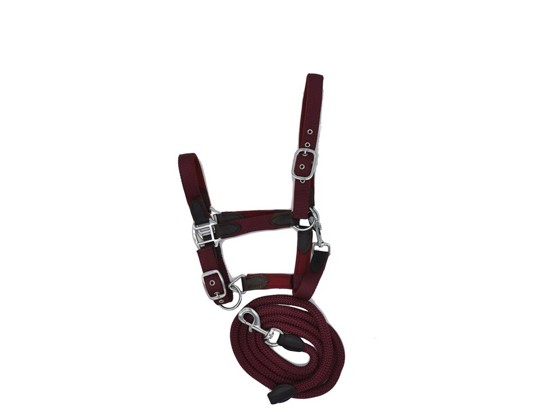 Cabresto para cavalos HFI Smart