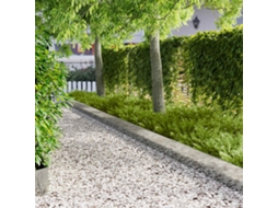 Vidaxl Acabamento Para Gramado 10 Unid. 103 X 25 Cm Aço Prateado