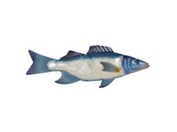 Ornamento de Parede de Peixe Perolado BY SIGRIS