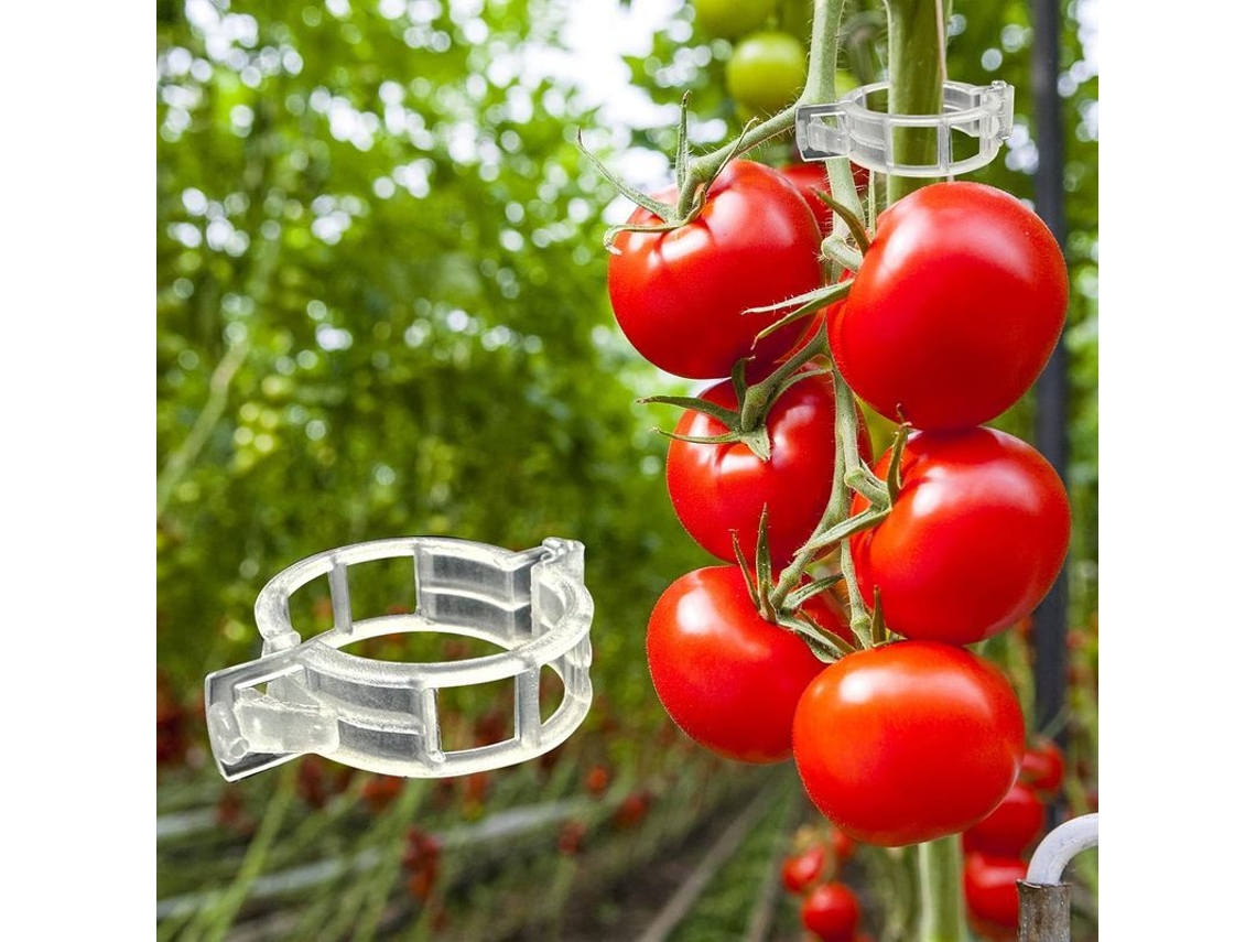 Clips de Suporte para Plantas 300 Peças Nova Line para Tomate, Melancia, Pepino