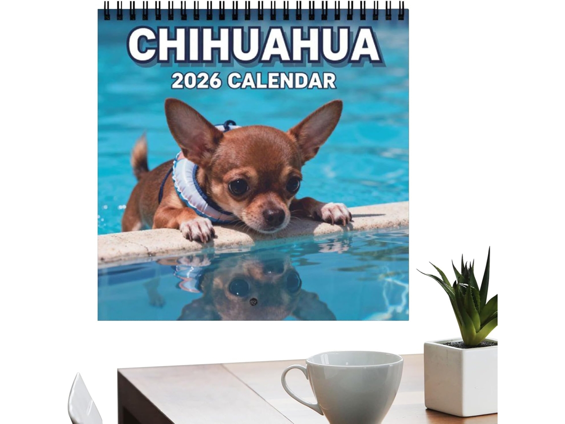 Calendário 2026 Semanal com Tema de para 12 Meses Apartamento e Dormitório CHABERLU