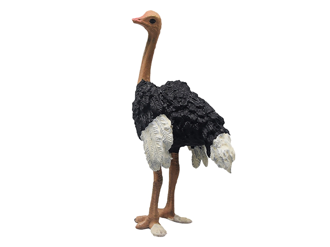Primerox figurina de Avestruz Realista Lifelike Educativa Brinquedo Modelo Animal Selvagem Pvc para Crianças