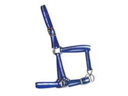 Tamanho de Potro com Nylon 2 Fivelas Muserola Azul Foalmarjoman Distribucion