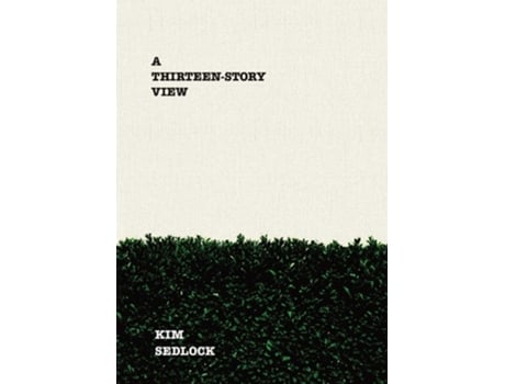 Livro A Thirteen-story View De Kim Sedlock (inglês)