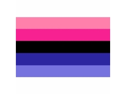 Bandera Omnisexual De 90x150 Cm, Material Poliéster, Peso 80g, Hecho Con Doble Costura 90 X 150 Cm