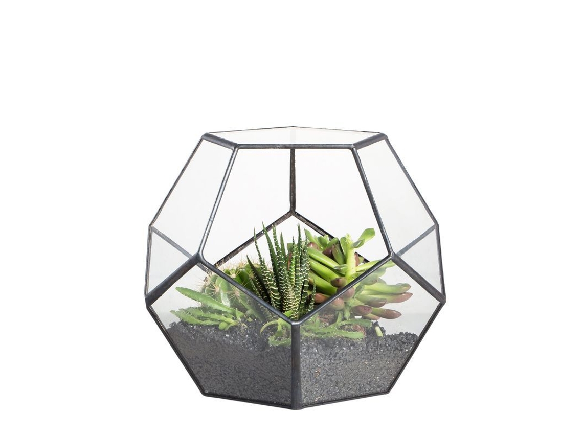 Terrário Geométrico De Vidro Pequeno 15cm Para Plantas, Sem Plantas Incluídas