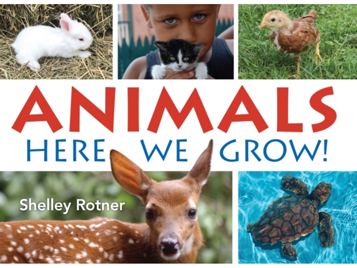 Livro animals! de shelley rotner (inglês)