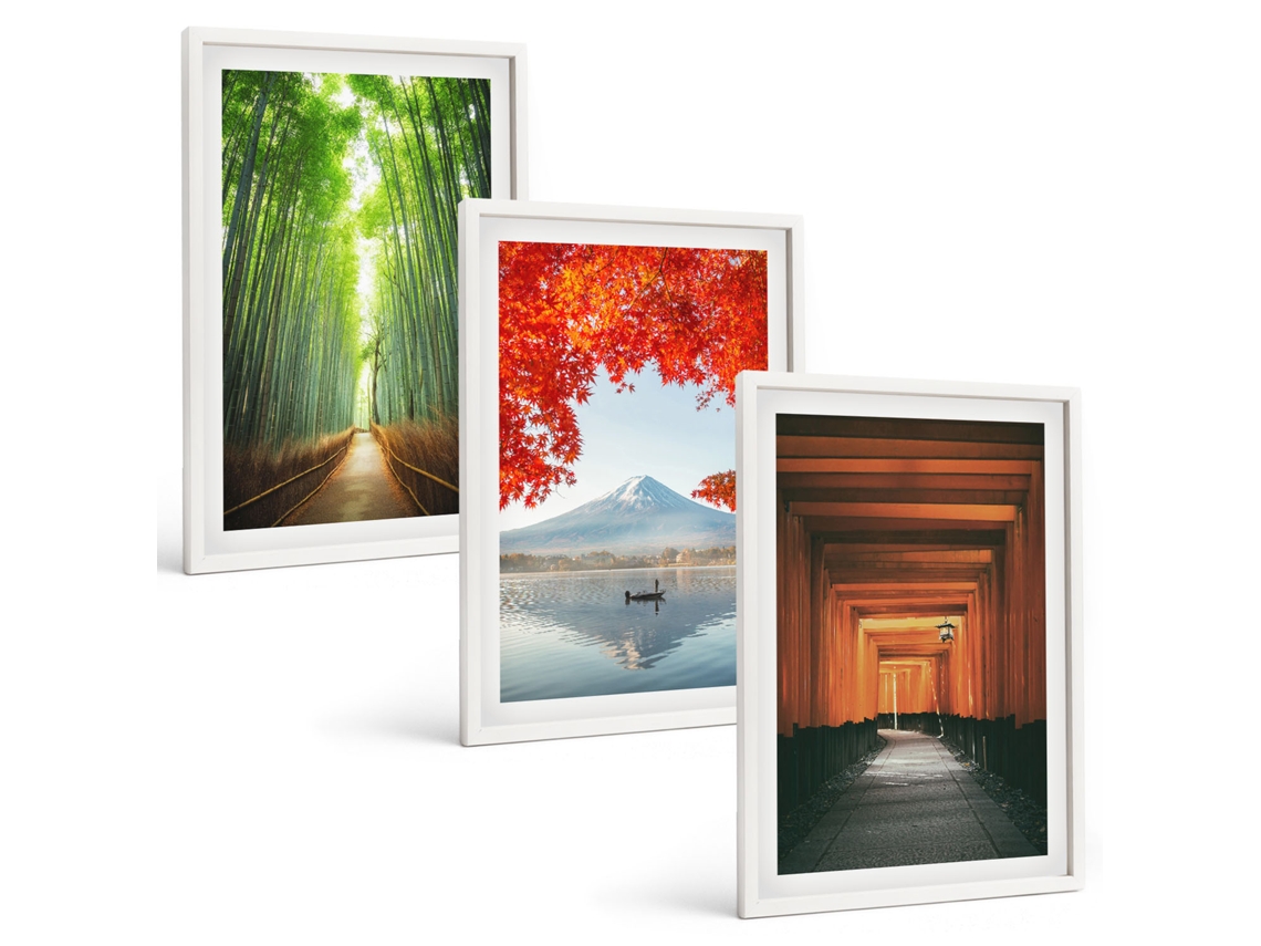 Galeria De Pinturas Murais Floresta De Bambu, Paisagem Do Monte Fuji Moldura Branca Fotos Para O Escritório Espelharte (3 Piezas De 40x60 Cm)