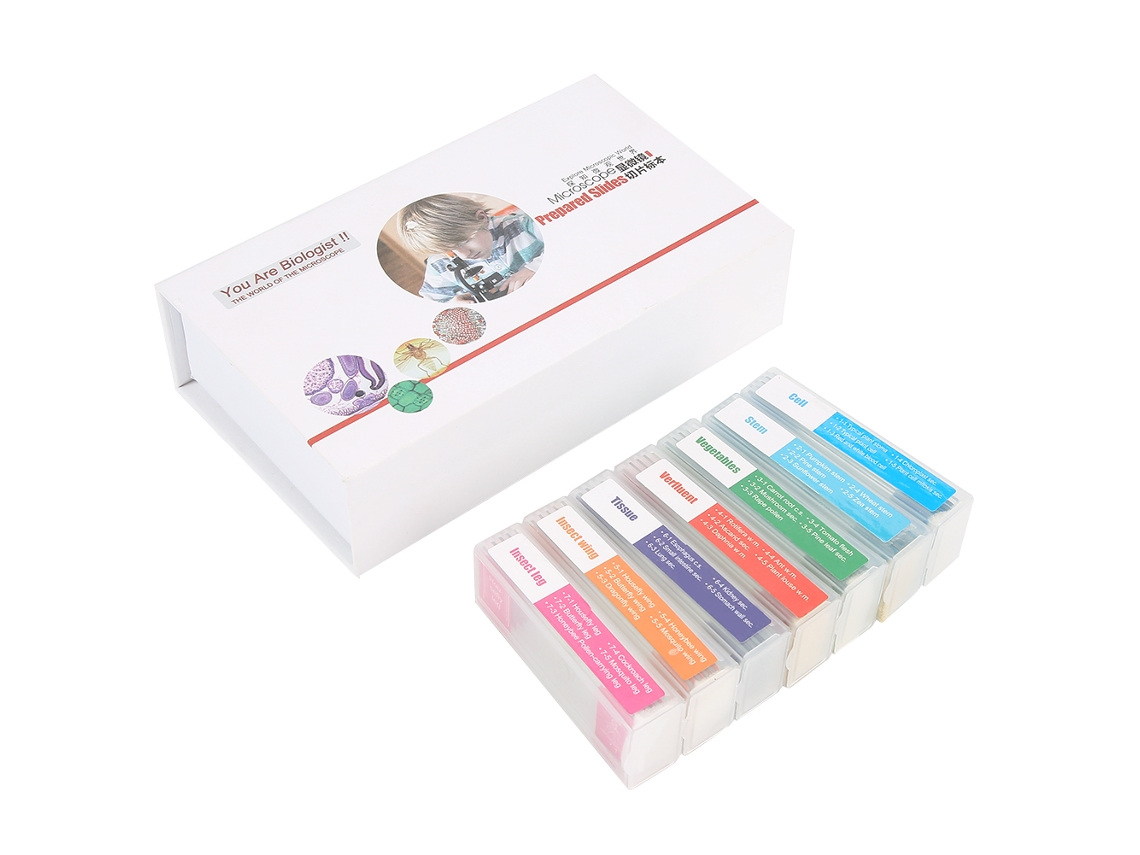 Conjunto de Lâminas Vidro Preparadas para Microscópio Biologia BRILVIBERA (35 Peças)