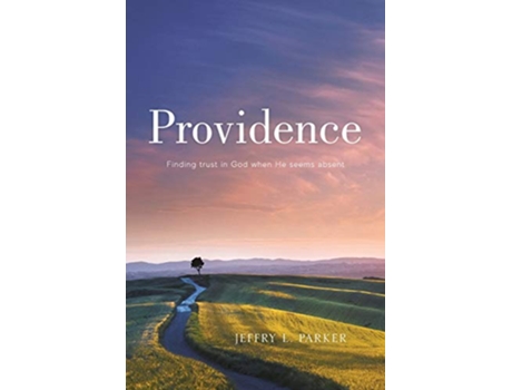 Livro Providence de Jeffry L Parker (Inglês)