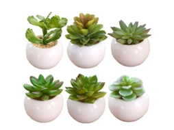 6 Unidades de Vaso de Plantas ALLINLESS