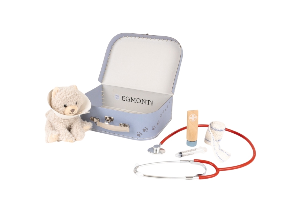 Veterinary Case Romy The Cat
