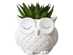 Vaso de Flores Escultural em Forma de Coruja Especificações da Coruja em Miniatura, Elemento Decorativo para Vasos de CHABERLU