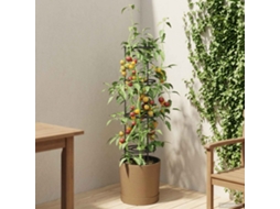 Vidaxl Cultivador De Tomates Naturo Eco Ø 39 X 139 Cm Wpc