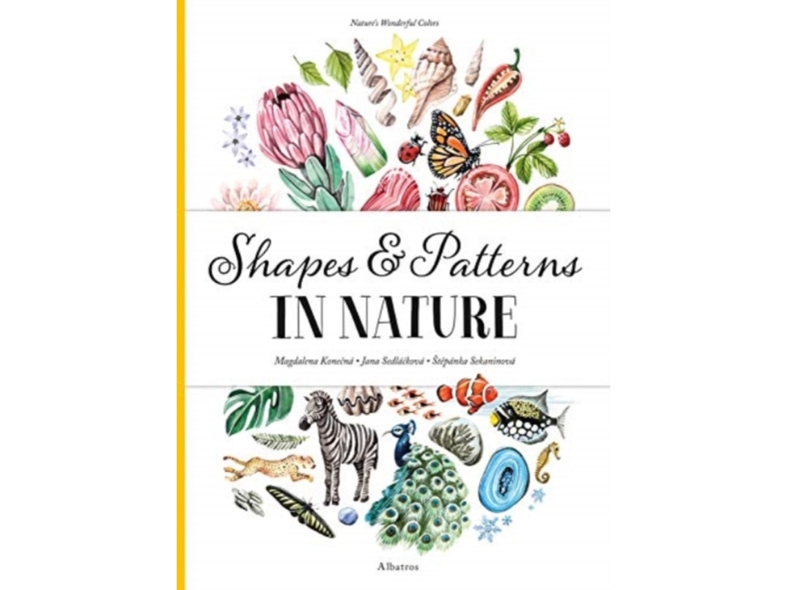 Livro Shapes and Patterns in Nature de Stepanka Sekaninova e Jana Sedlackova (Inglês - Capa Dura)