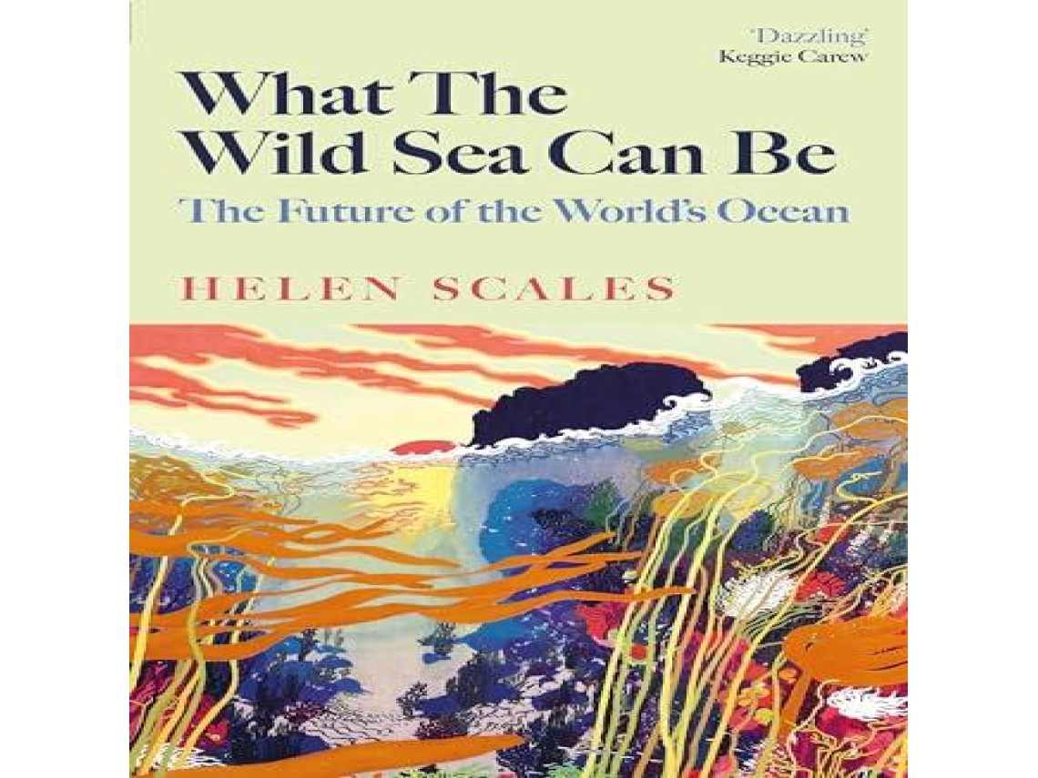 Livro What the Wild Sea Can Be de Helen Scales (Inglês)