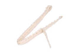 Lazo De Encaje De Punto Claro Estilo Elegante Reutilizable Para Scrapbooking Y Costura Beige