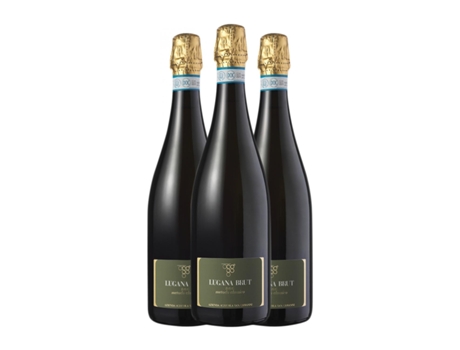 Espumante PASINI Trebbiano di Lugana Brut Lugana (0.75 L - 3 Unidades)