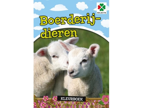 Folhas e Livros para Colorir  54604