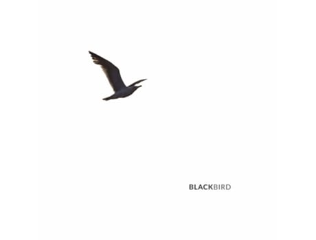 Livro Blackbird de Ana Zara Marson (Português)
