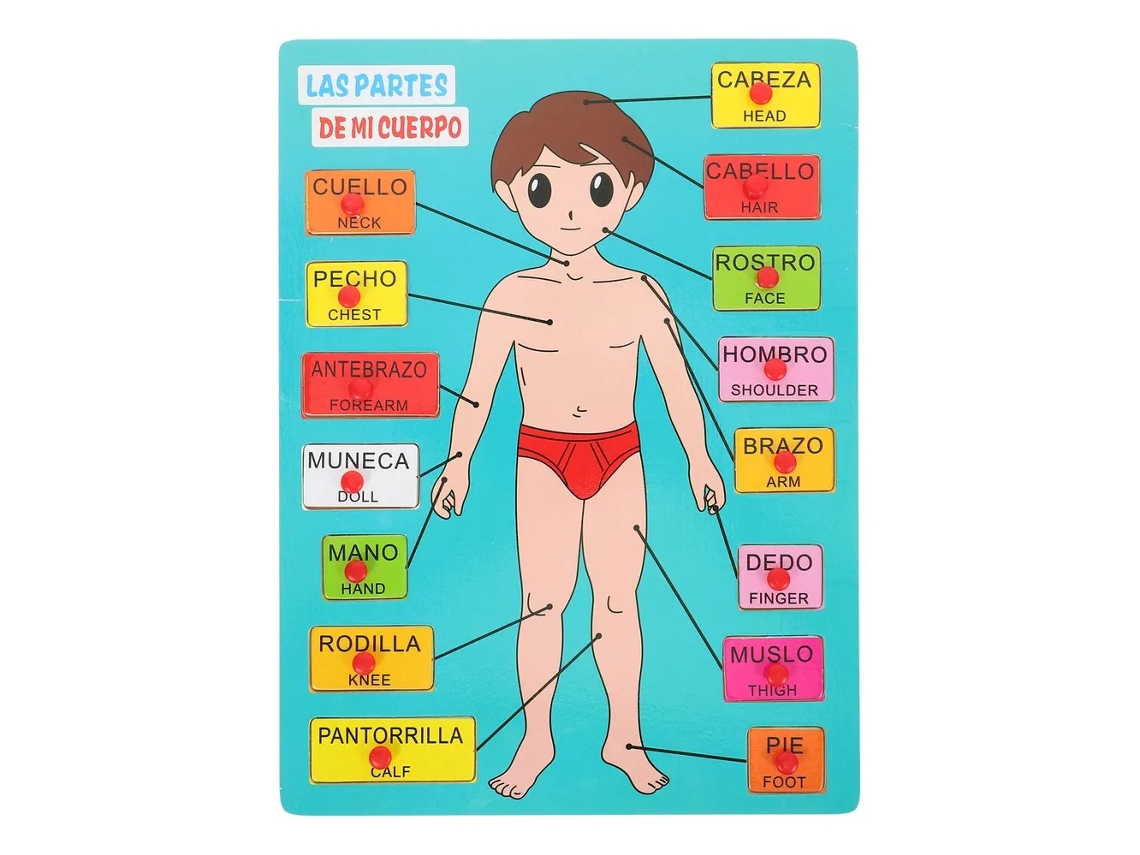 Lurelia Puzzle Madeira De Madeira Com Cores, Para Aprendizagem Infantil