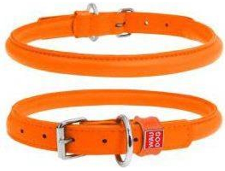 Coleira para Cães  Glamour (Laranja - 45-53 x 1.3 cm - Couro)