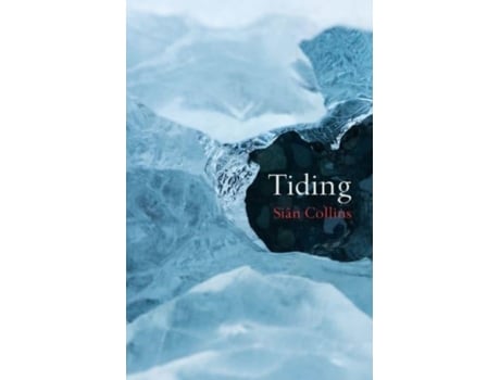 Livro Tiding de Siân Collins (Inglês)
