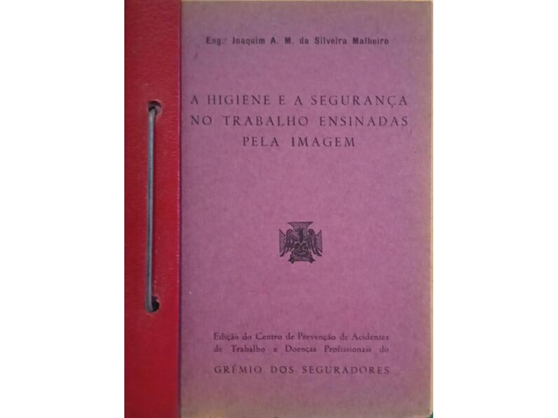 Livro A Higiene E A Segurança No Trabalho Ensinadas Pela Imagem. (Português)