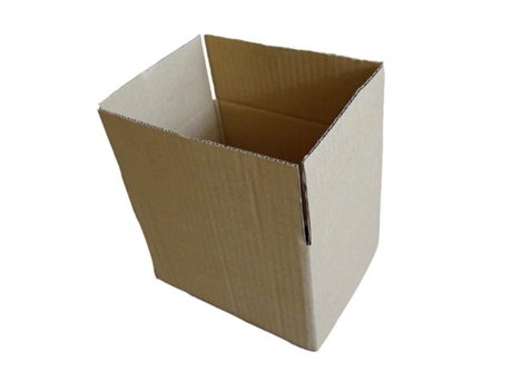 100 caixas de embalagem 20 x 15 x 11 cm RAJA