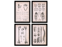 Conjunto de Pósters NACNIC (21 x 29.7 cm)