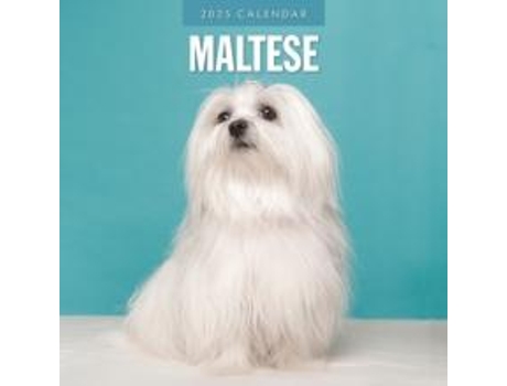 Livro Maltese 2025 Square Wall Calendar de Red Robin (Inglês)