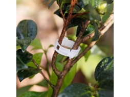 200 pinças de plástico para plantas, clips de apoio para tomates, legumes e trepadeiras, branco | S/MARCA