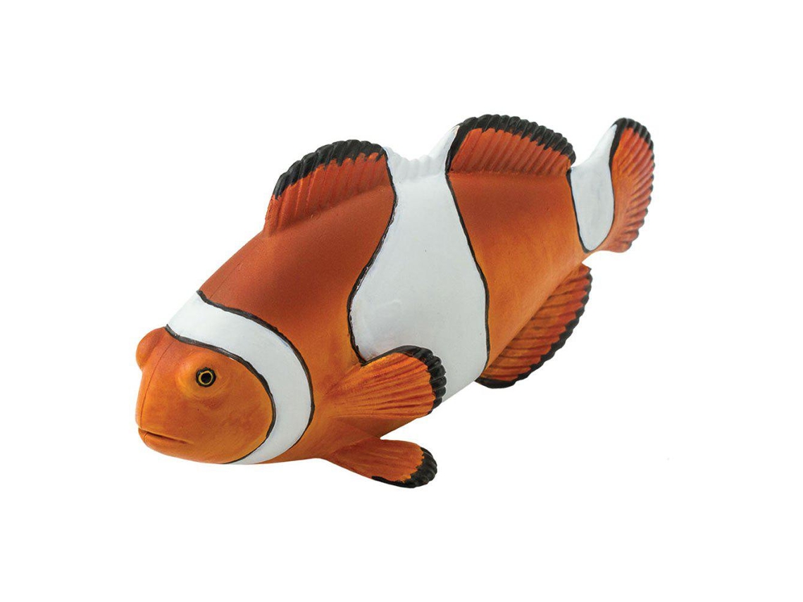 SAFARI Clown Anemonefish 2