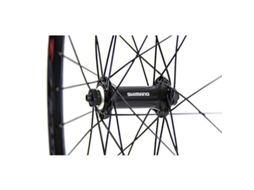 Massi Black Gold 2 Tx-800 Front
