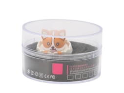 Pen Drive Usb de Alta Velocidade LAXISCREED