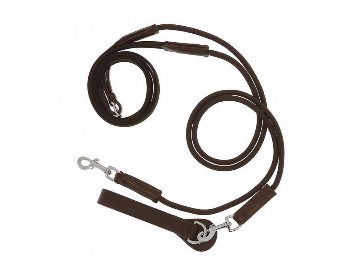 Rédeas Do Canva German Castanho Fullnorton Equestrian