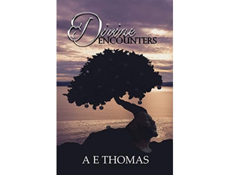 Livro Divine Encounters De Ae Thomas (inglês)