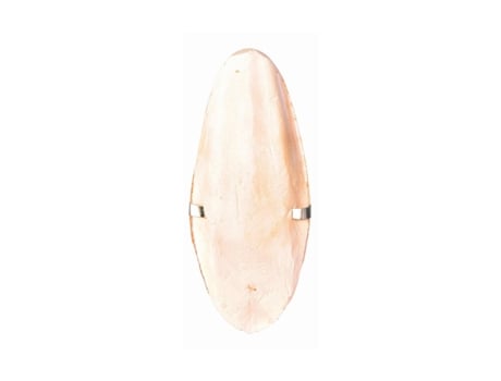 Osso de Choco com Suporte 12 cm 