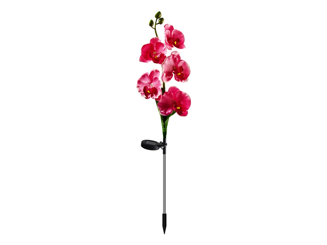 2pack Luzes Para Orquídeas Solares, Decoração Para Pátio, Jardim, Villa E Calçada