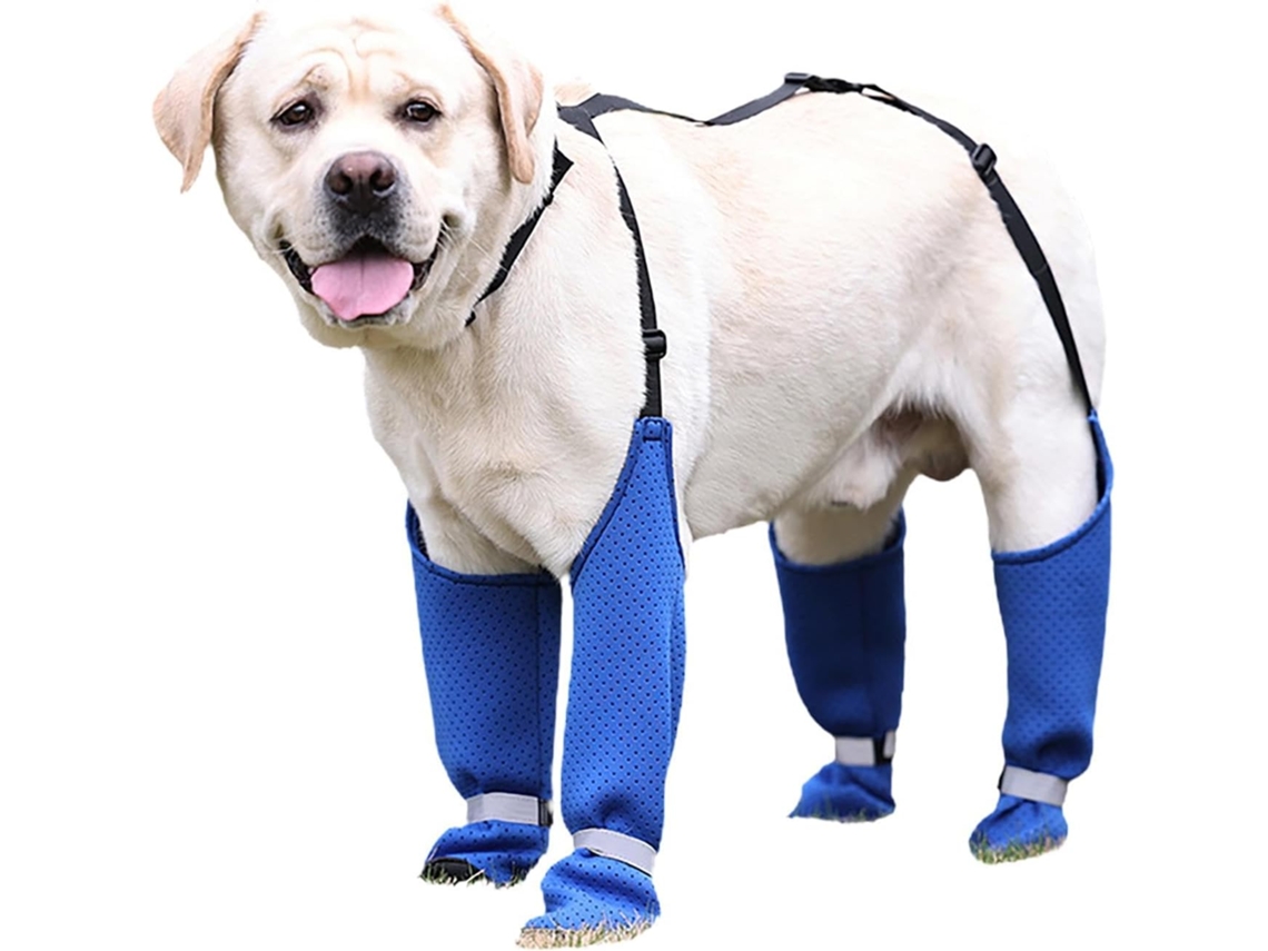 Botas Cães Com Suspensórios, Botas Impermeáveis Cães Com Suspensórios